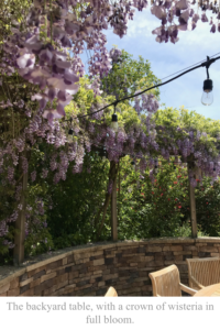 Author caption: The backyard table, with a crown of wisteria in full bloom.
